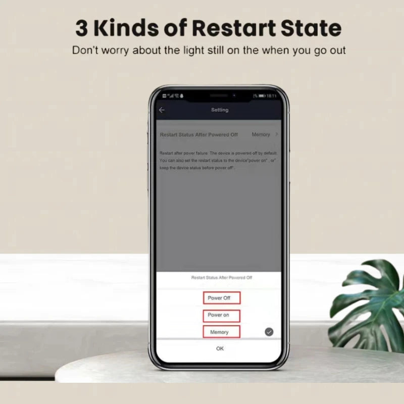 Tuya 16A MINI Wifi Switch DIY 1-way Remote Control